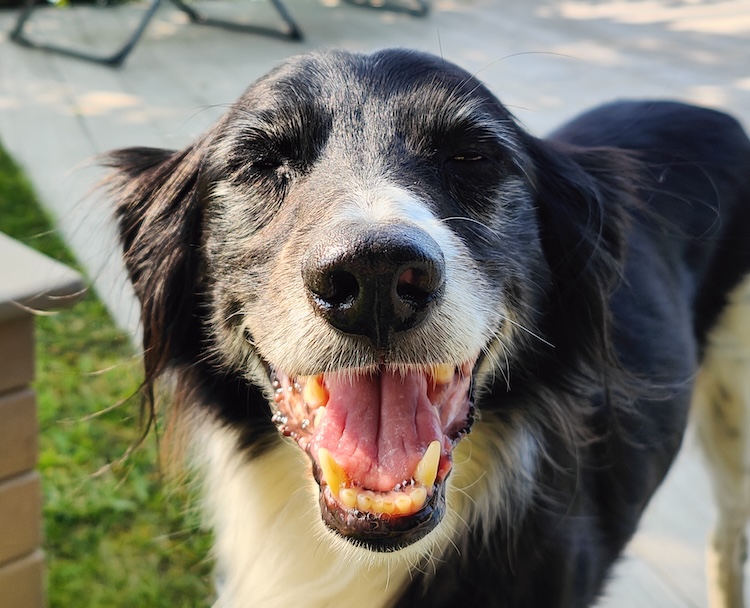 Ons laatste dagje samen…